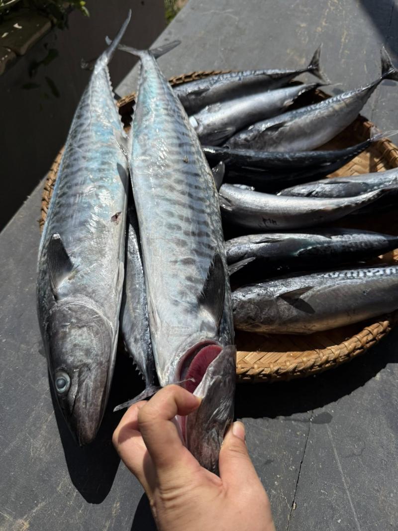 Hải sản Khánh Tiên