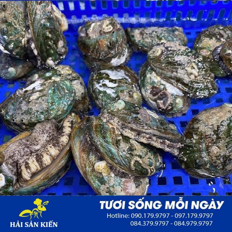 Hải sản Kiến