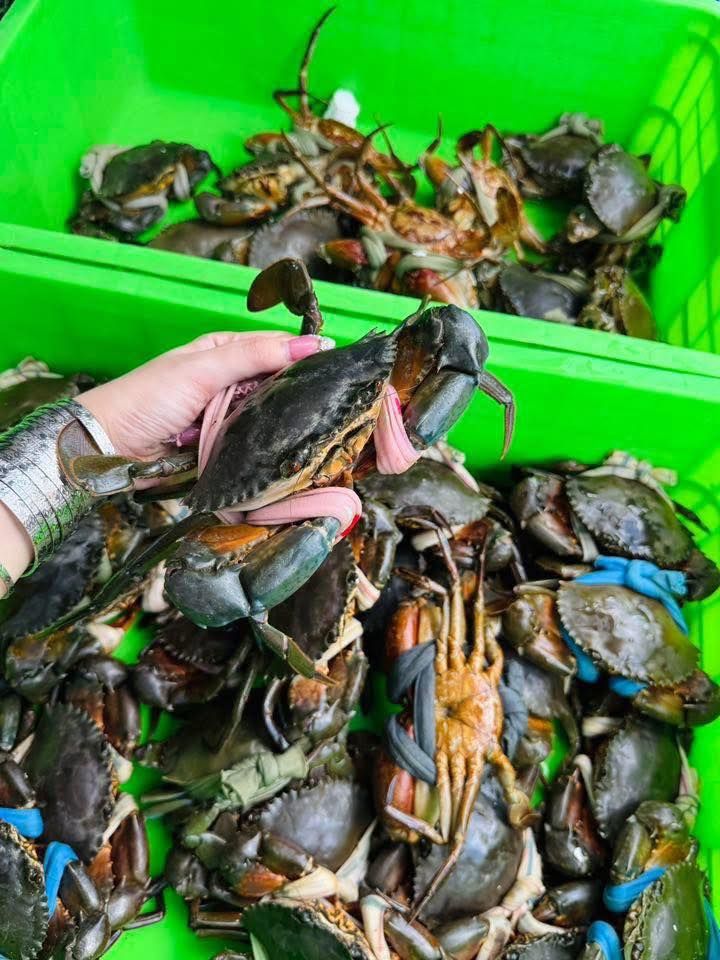 Hải sản Nhiên An