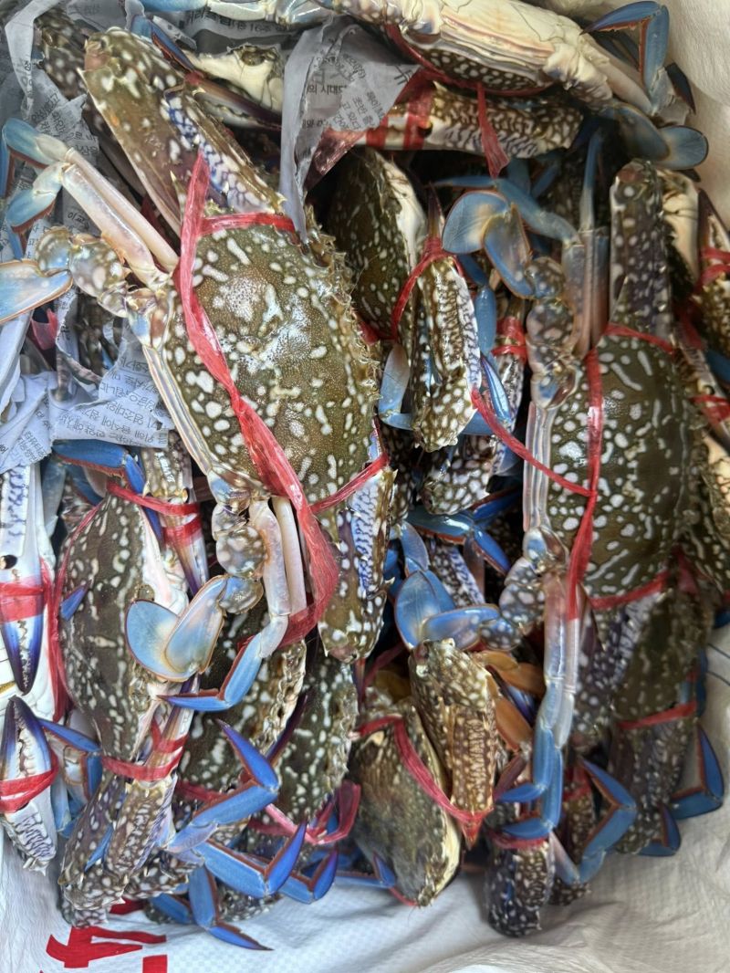 Hải Sản Thiên An