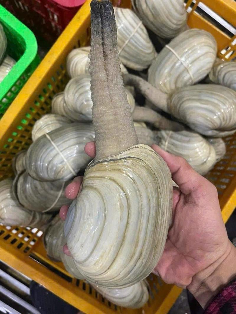 Hải sản Trung Kiên