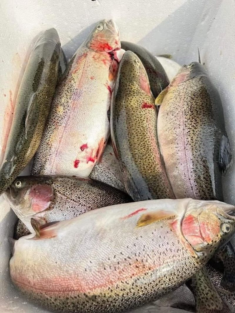 Hải sản Trung Kiên