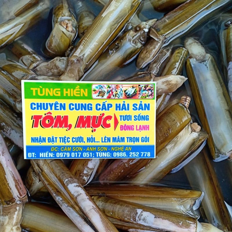 Hải sản tùng hiền hàng tươi sống mỗi ngày