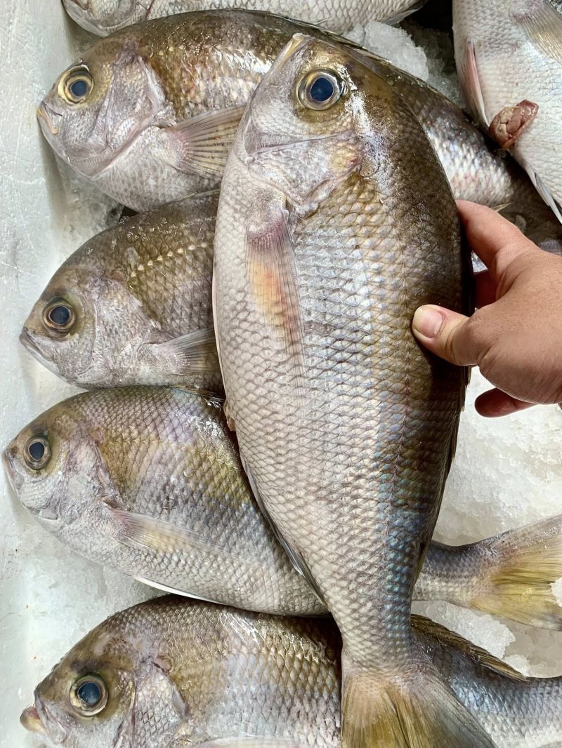 Hải Sản Tươi Sạch Biên Hòa