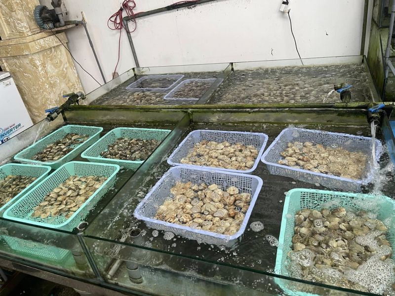 Hải Sản Tươi Sống Giác Viên