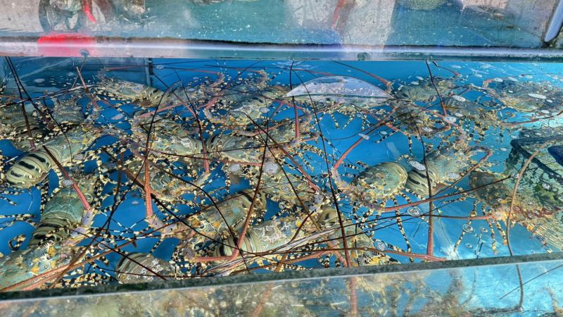 Hải Sản Văn Thìn