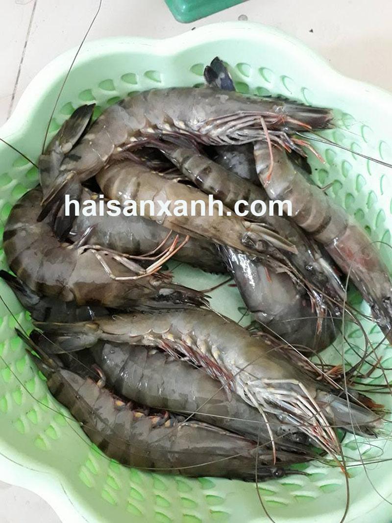 địa chỉ bán hải sản tươi sống chất lượng tại Hà Nội