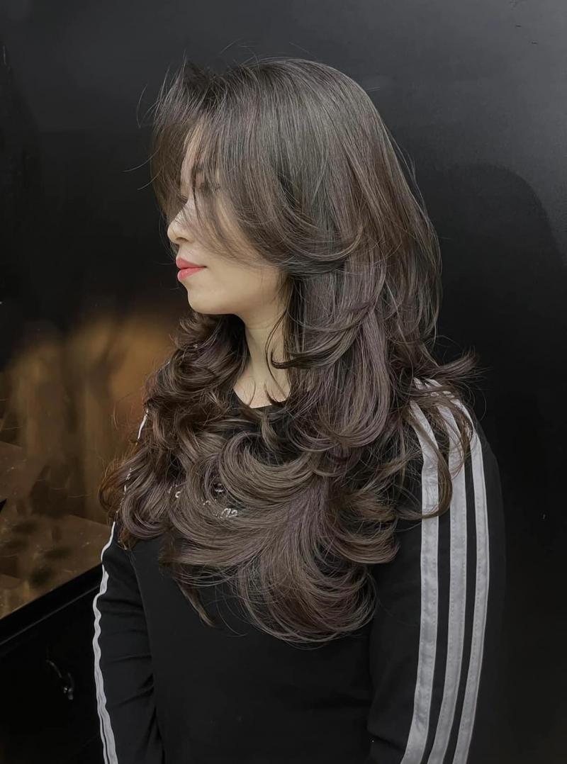 Hair Salon Đạt Stylist