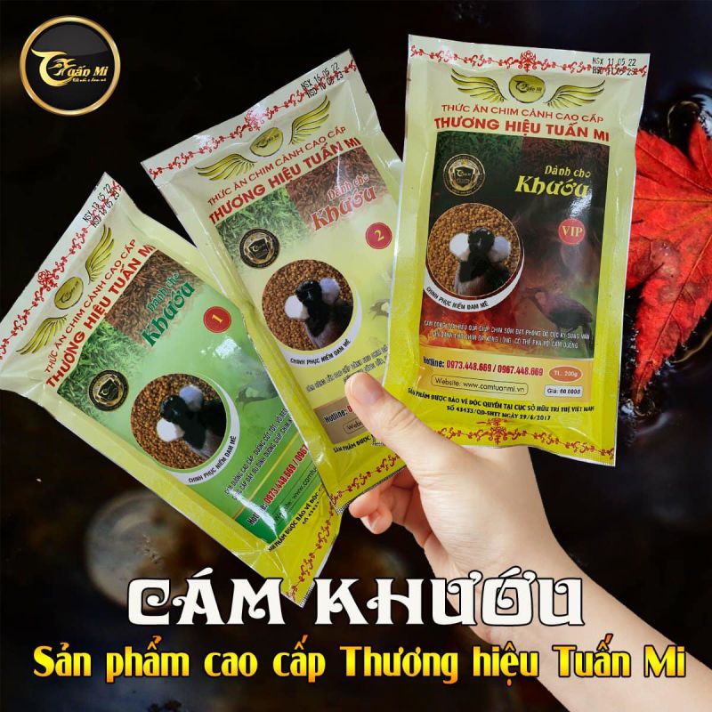 Hãng Cám Tuấn Mi