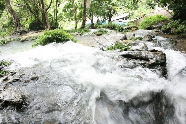 Suối Mỏ Gà ngày đêm xuôi chảy, nước trong vắt tạo thành một dòng thác nhỏ tung bọt trắng xóa