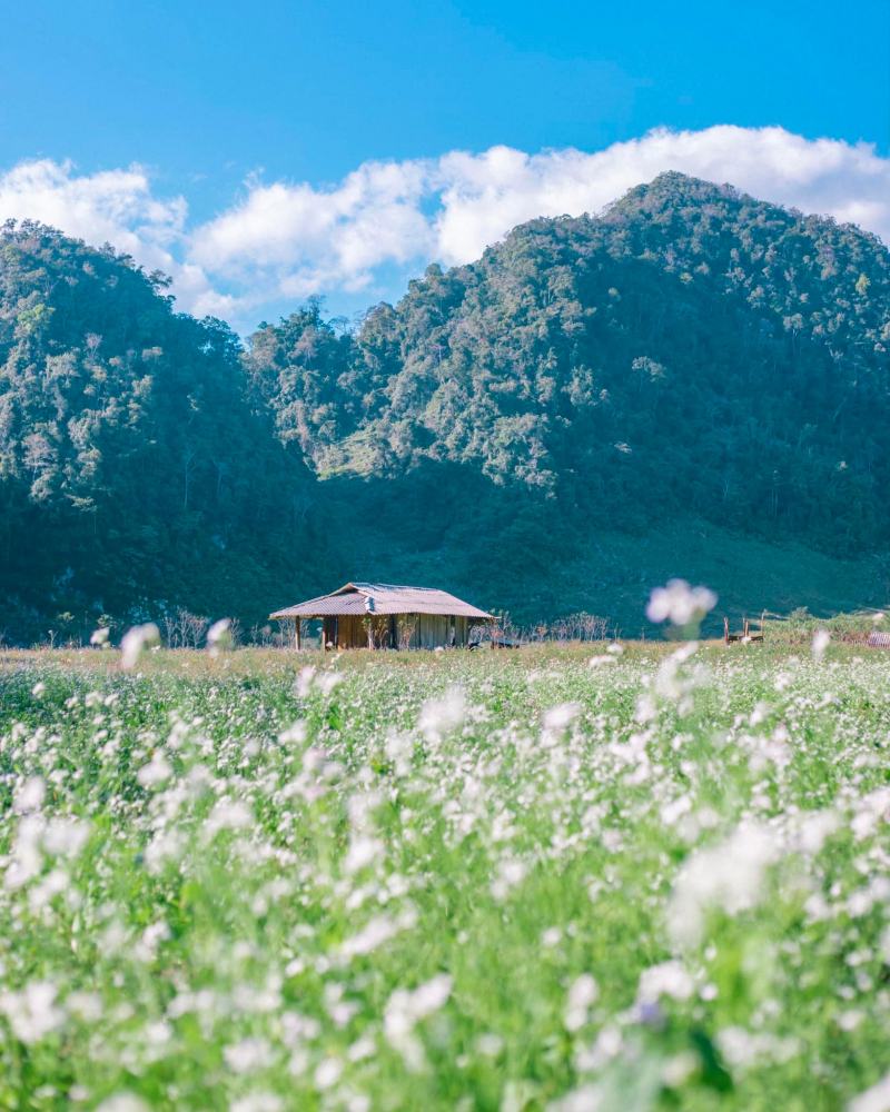 Thiên nhiên thơ mộng ở Hang Táu