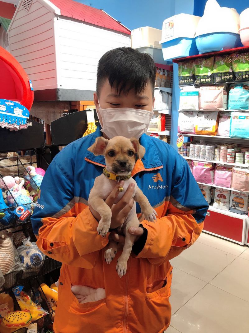 Pet Mart - Cửa Hàng Thú Cưng