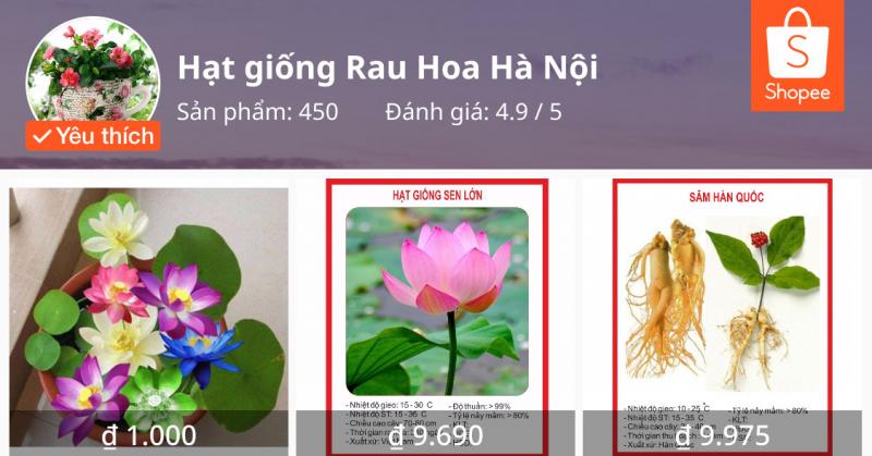 Hạt giống rau hoa Hà Nội