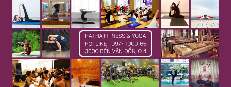 Hatha Fitness & Yoga