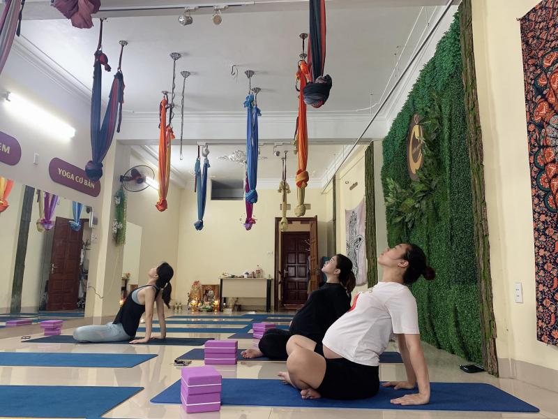 Hatha Yoga Việt Nam