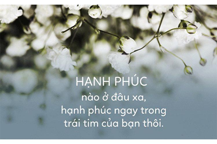 Hãy biết ơn những gì bạn có.