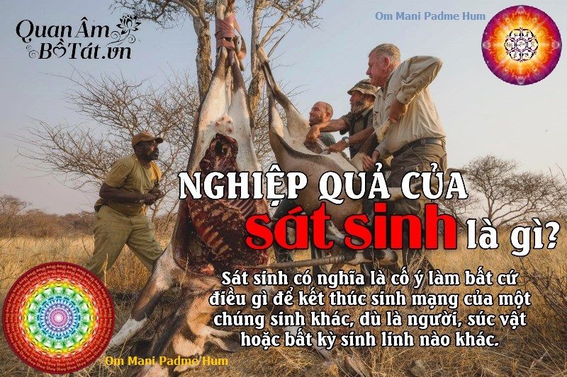 Nghiệp quả của sát sinh