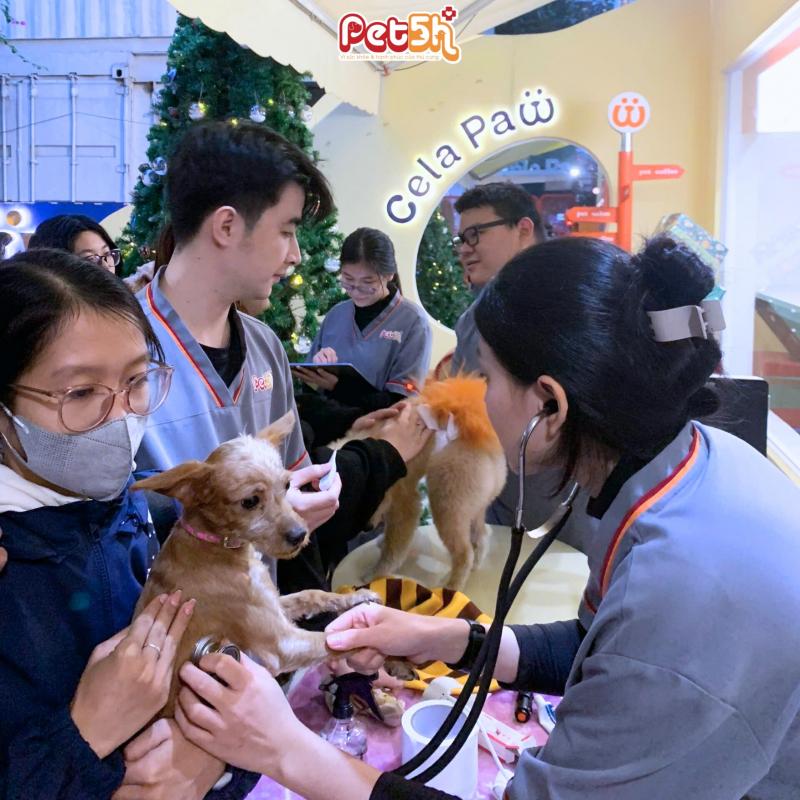 Hệ thống Bệnh viện thú y Pet5H