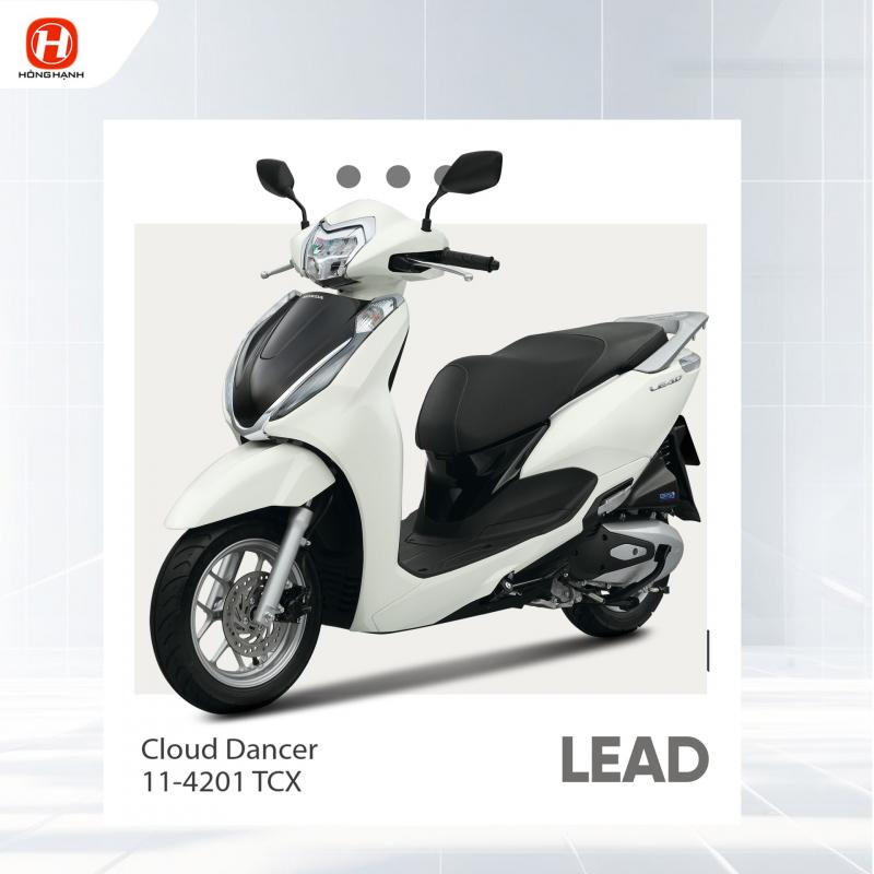 Hệ Thống HEAD Hồng Hạnh