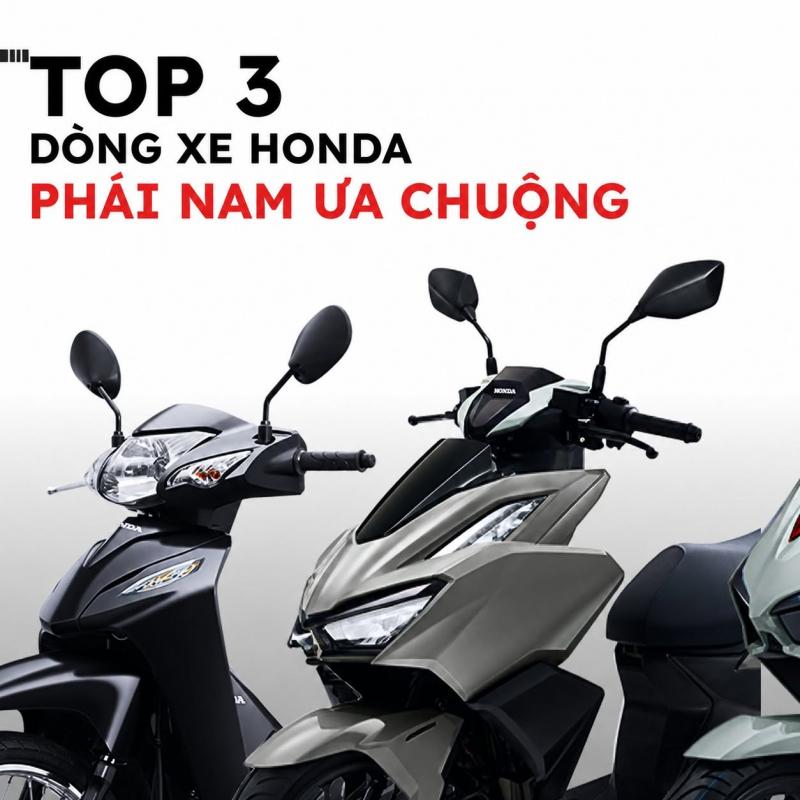 Hệ Thống HEAD Hồng Hạnh