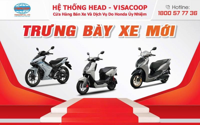 Hệ Thống HEAD - Visacoop