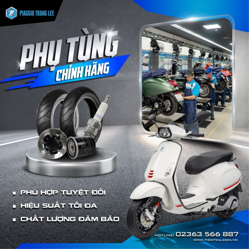 Hệ thống Piaggio Trang Lee