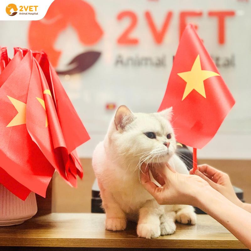 Hệ Thống Thú Y 2Vet