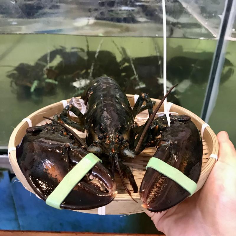 Hệ Thống Vựa Hải Sản Lộc