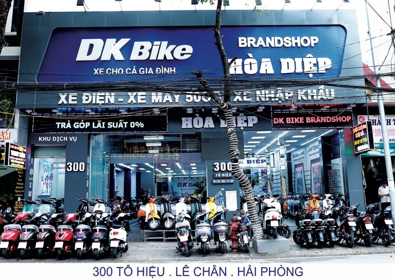 Hệ thống xe điện xe máy 50cc Hoà Diệp