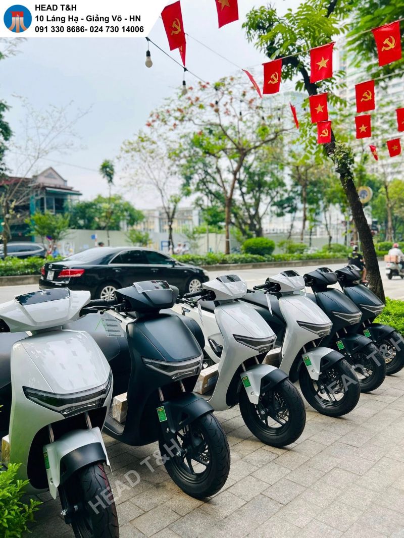 Head Honda T & H