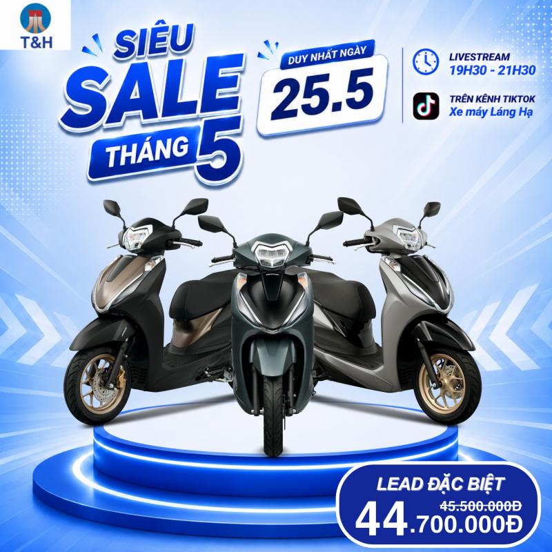 Head Honda T & H