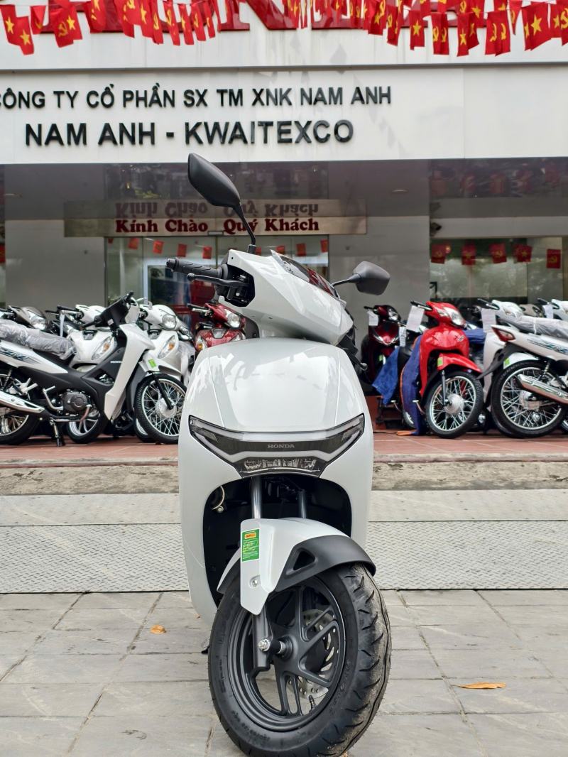 HEAD Nam Anh - Kwaitexco