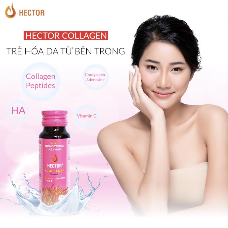 Nước đông trùng hạ thảo Hector Collagen