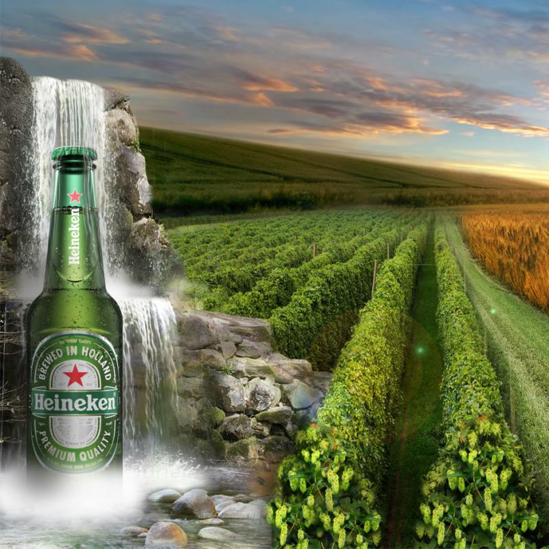 Heineken Việt Nam