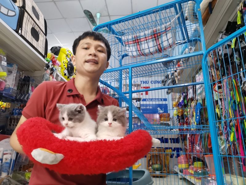 Hi Pet Đức Hòa