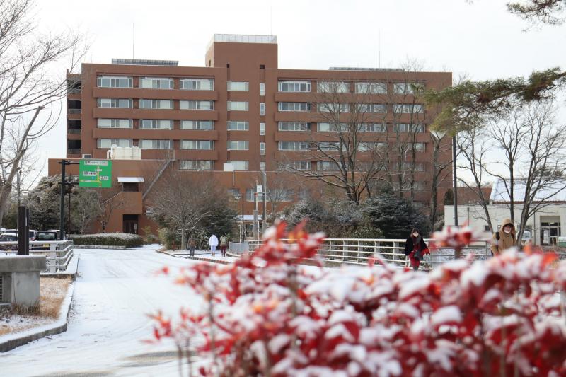 Hiroshima University