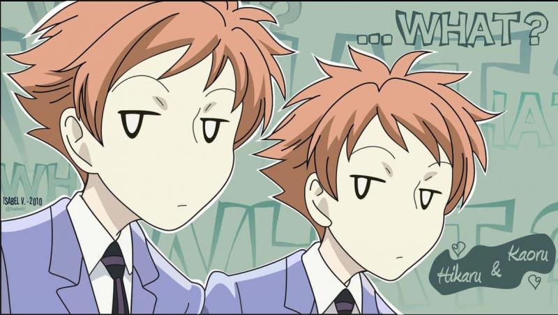 Hitachiin Hikaru & Hitachiin Kaoru (Ouran High School Host Club)