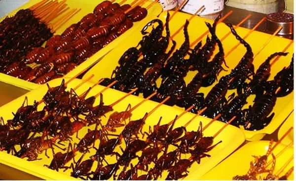 Grilled insect dishes at Tinh Bien market (An Giang)