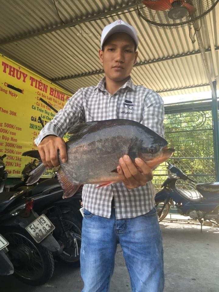 Hồ Câu Cá Giải Trí Thủy Tiên