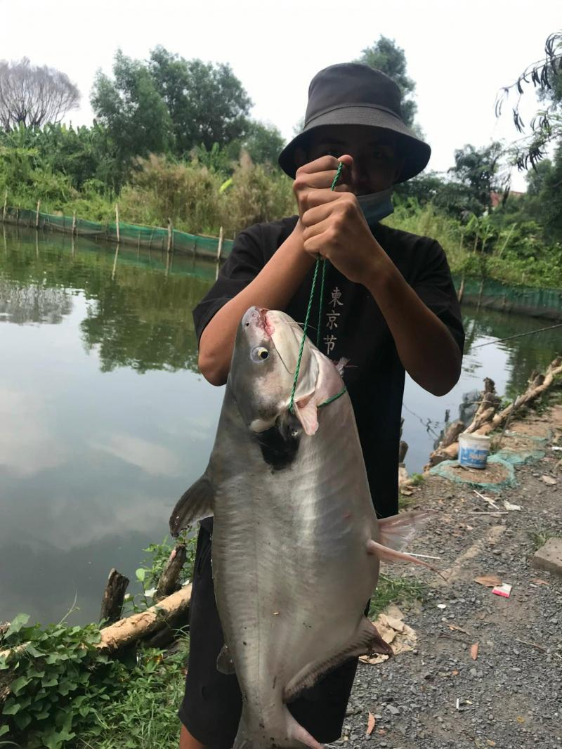 Hồ câu cá Phúc Ân