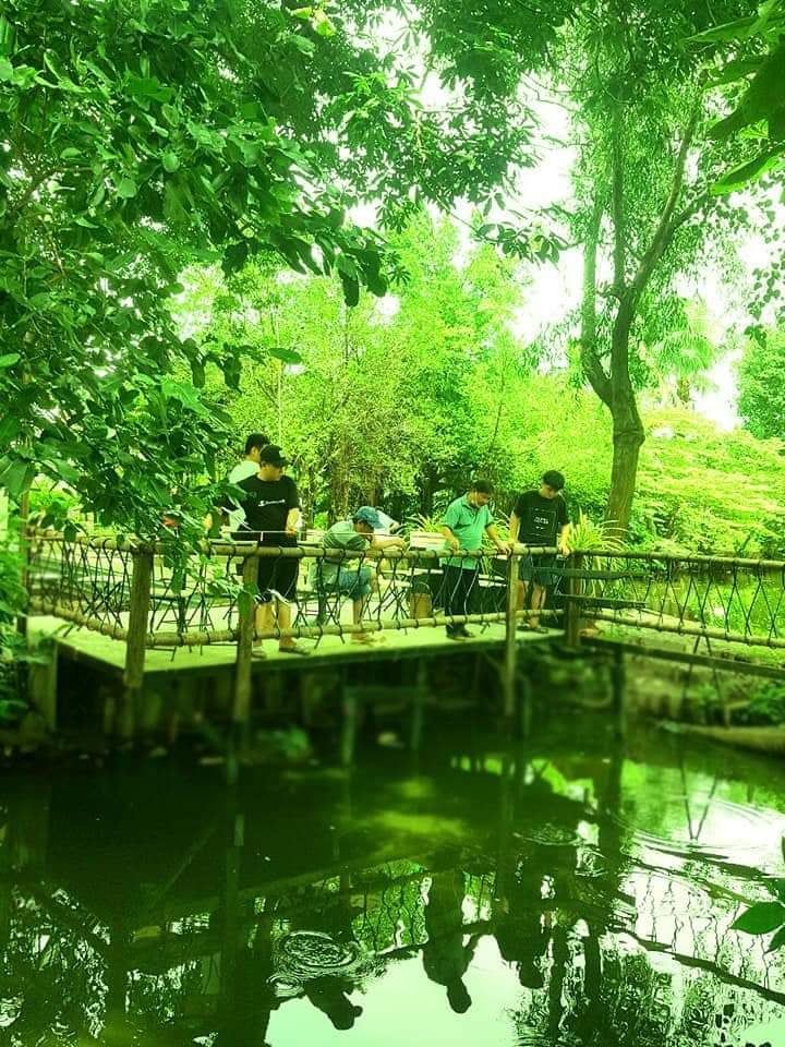 Hồ câu Cá Sấu Hoa Cà