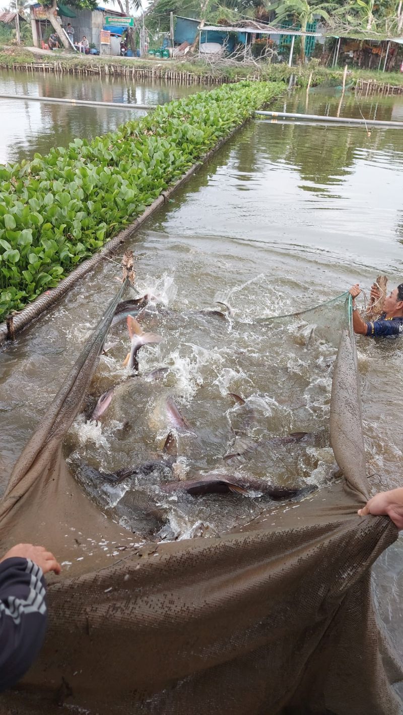 Hồ Câu Kê Đức