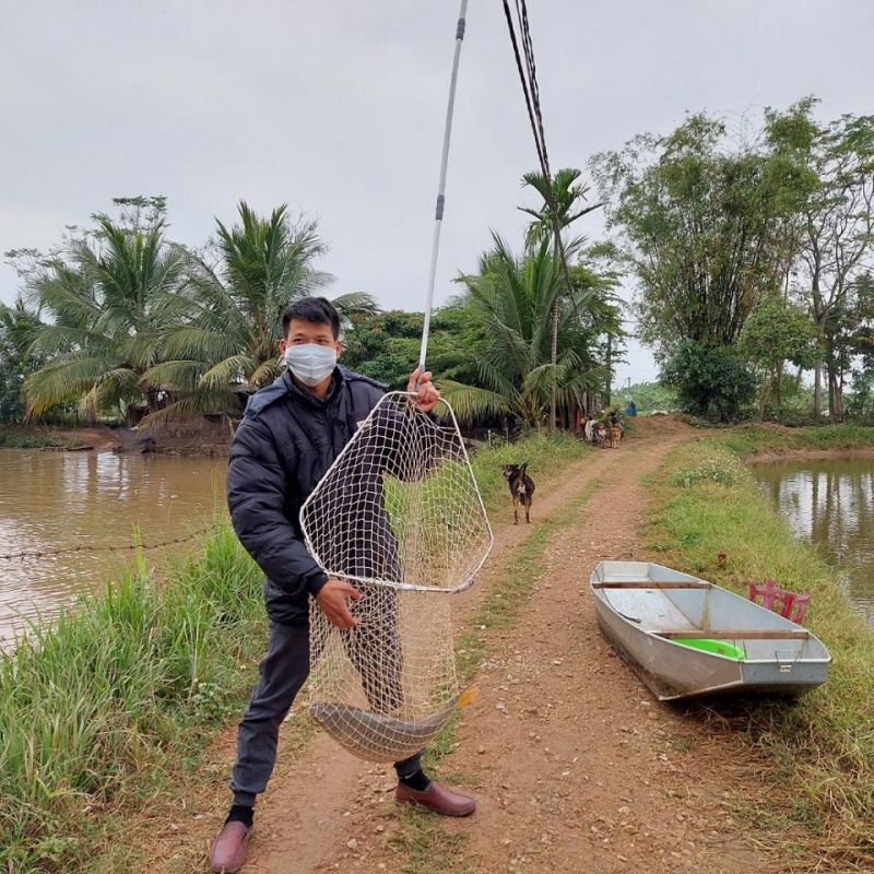 Hồ câu Tâm Đức