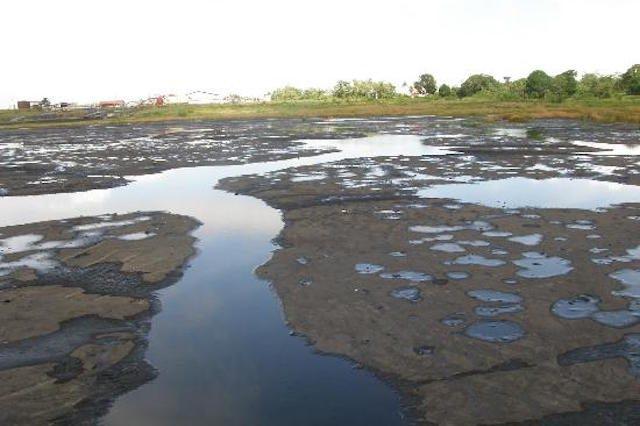 Hồ Hắc Ín, Trinidad