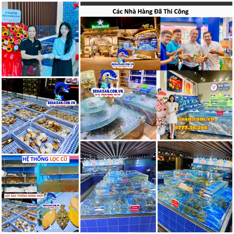 Hồ Hải Sản Seahome – Giải Pháp Giữ Hải Sản Sống Khỏe 5–30 Ngày, Gần Như Cả Năm Ít Phải Thay Nước Biển