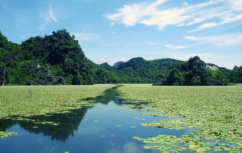 Hồ được bao trọn bởi thiên nhiên tự nhiên nê không khí ở đây cũng rất mát mẻ.