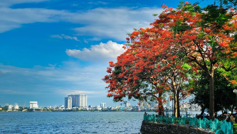 Bài thơ: Hà Nội nắng thắm mùa yêu - Nguyễn Lan Hương