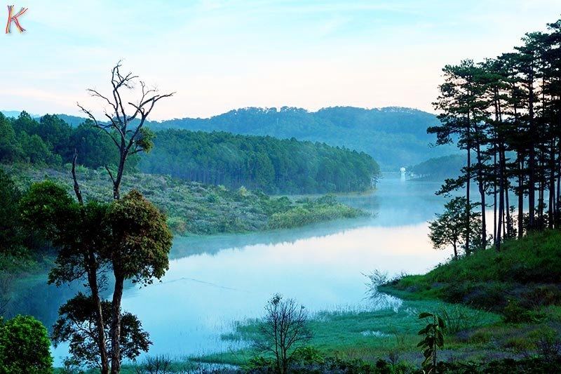 Hồ Tuyền Lâm