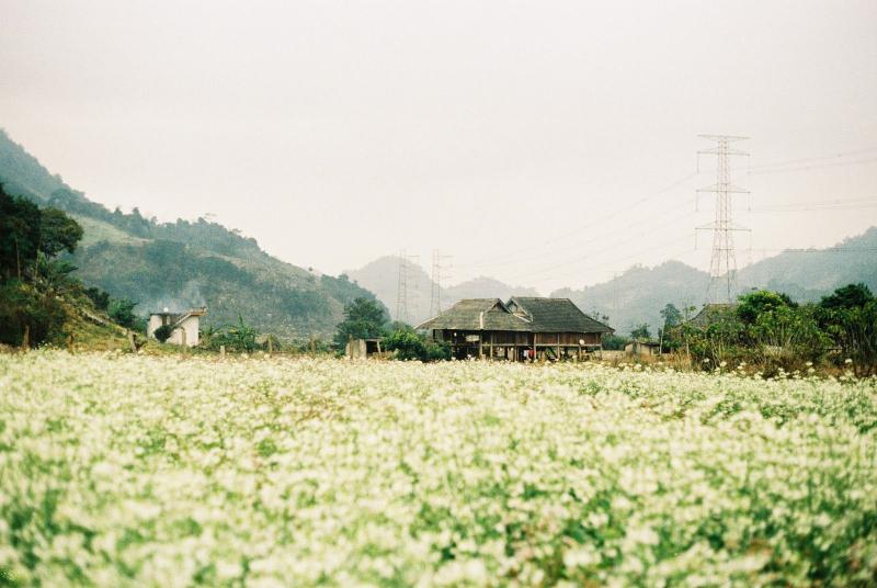 Mộc Châu - Sơn La