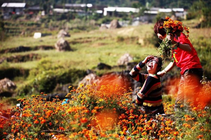 Đến Hà Giang tháng 10, bạn sẽ được chiêm ngưỡng bức tranh thủy mặc với loài hoa cúc dại vàng ươm xen kẽ những phiến đá tai mèo đang đua nhau tô điểm, như mời gọi sự chiêm ngưỡng của những nhà lữ hành.